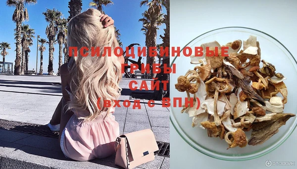 2c-b Бородино