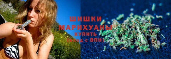 2c-b Бородино